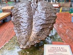 -西安曲江寒窑遗址公园