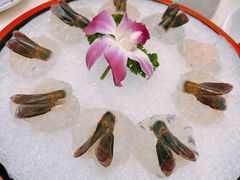 -沙龙酒家