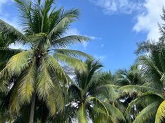 -海南清水湾莱佛士酒店