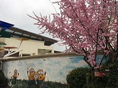 -苏州湾王焰温泉度假酒店