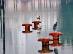 -苏州河梦清园环保主题公园