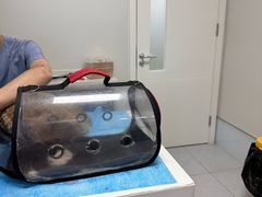 -达爱动物医院·犬猫分区·CT·复杂眼科(远洋山水分院)