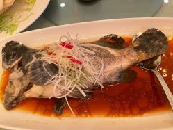 -上海大酒店·婚宴年会宴会厅