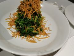 巧拌豆苗-四季民福烤鸭店(王府井灯市口店)