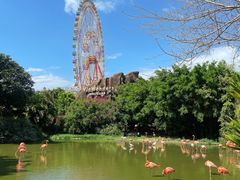 -芽庄珍珠岛游乐园
