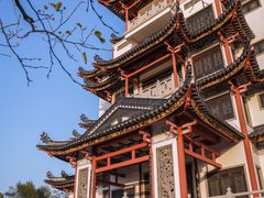 -广东花都湖国家湿地公园