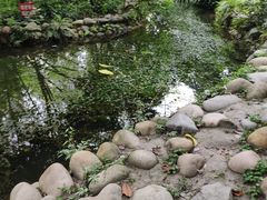 -成都市活水公园
