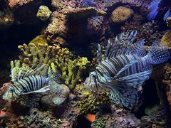 -上海海洋水族馆