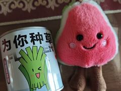 -山与蓝·轻糖鲜果蛋糕(勒泰店)