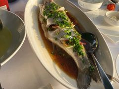 招牌清蒸钱塘江白条-柳莺湖上·湖景餐厅·江南菜(西湖店)