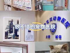 -中农大我爱我爱24h动物医院·中医针灸·猫专科·骨科医疗中心(双井店)
