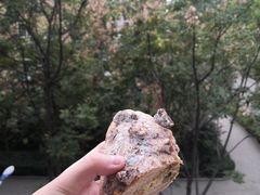 核桃马里奥-麦陌(正弘城店)