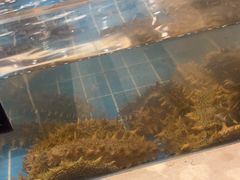 -新丁香海鲜酒店(银海商贸城店)