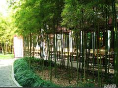 DSC04963-COSTA COFFEE(西湖天地店)