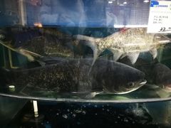 -果蔬好生活超市(双井店)