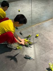 -酷嗒动物文化乐园(cutezoo西溪乐天城店)