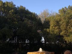 -天目湖山水园