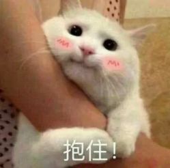 点击看大图 -逸丝风尚yesfashion造型
