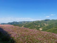 -云顶山风景区