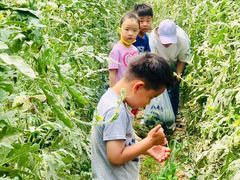 -大兴滨河森林公园