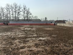 -北京群众马术培训基地