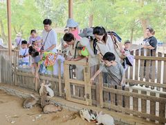 -秦皇岛野生动物园