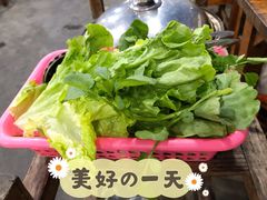杂菜-章记正宗南岗鱼蛋火锅