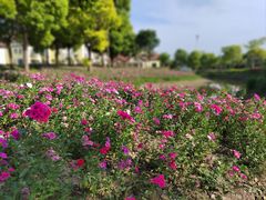 -歌斐颂巧克力小镇