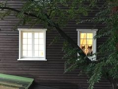 -三鹰之森吉卜力美术馆