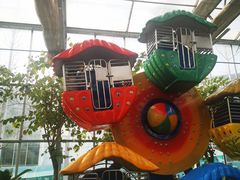 -南宫五洲植物乐园