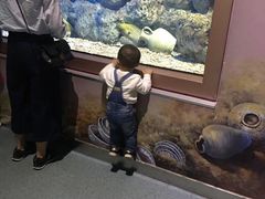 -福州罗源湾海洋世界旅游区