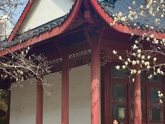 -堤角公园