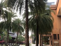 -三亚湾红树林度假世界(木棉酒店)