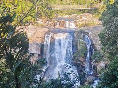 -海南热带雨林国家公园吊罗山景区