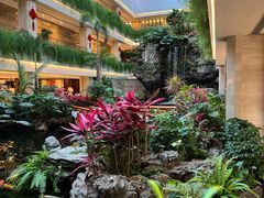 -广州白天鹅宾馆