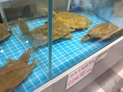 -大连商场