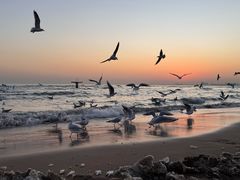 -老虎石海上公园