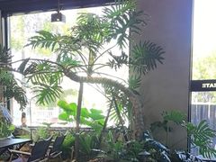 -J Create城市露营咖啡·简餐·宠物(上海动物园店)