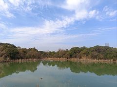 -艾溪湖湿地公园
