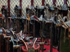 -呼伦贝尔民族博物馆