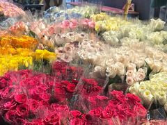 -循礼门鲜花花市(武汉循礼门店)