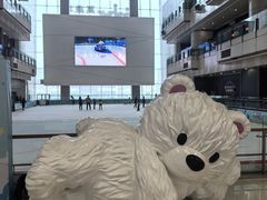 -冰纷万象滑冰场(二七万象城店)