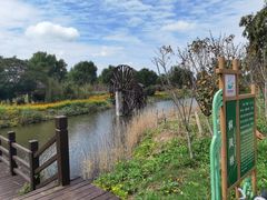 -泗洪洪泽湖湿地景区