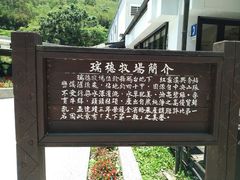 -瑞穗牧场