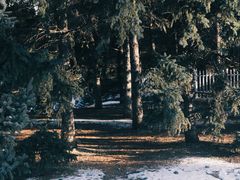 -长春净月潭风景名胜区