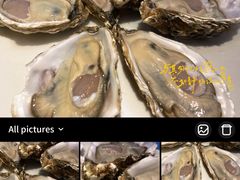 -千岛蚝高压锅生蚝·人参火锅(白云万达店)