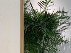 -丹礼糖甜品