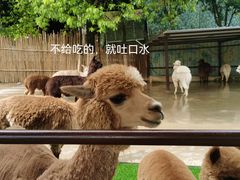 -杭州野生动物世界