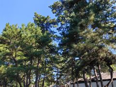 -承德避暑山庄景区