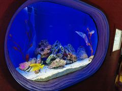 -上海海洋水族馆